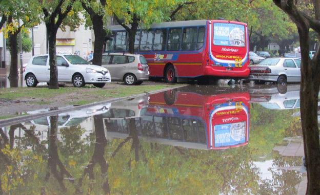La Plata bus